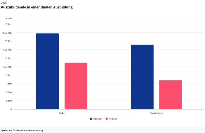 Auszubildende in einer dualen Ausbildung (B BB)